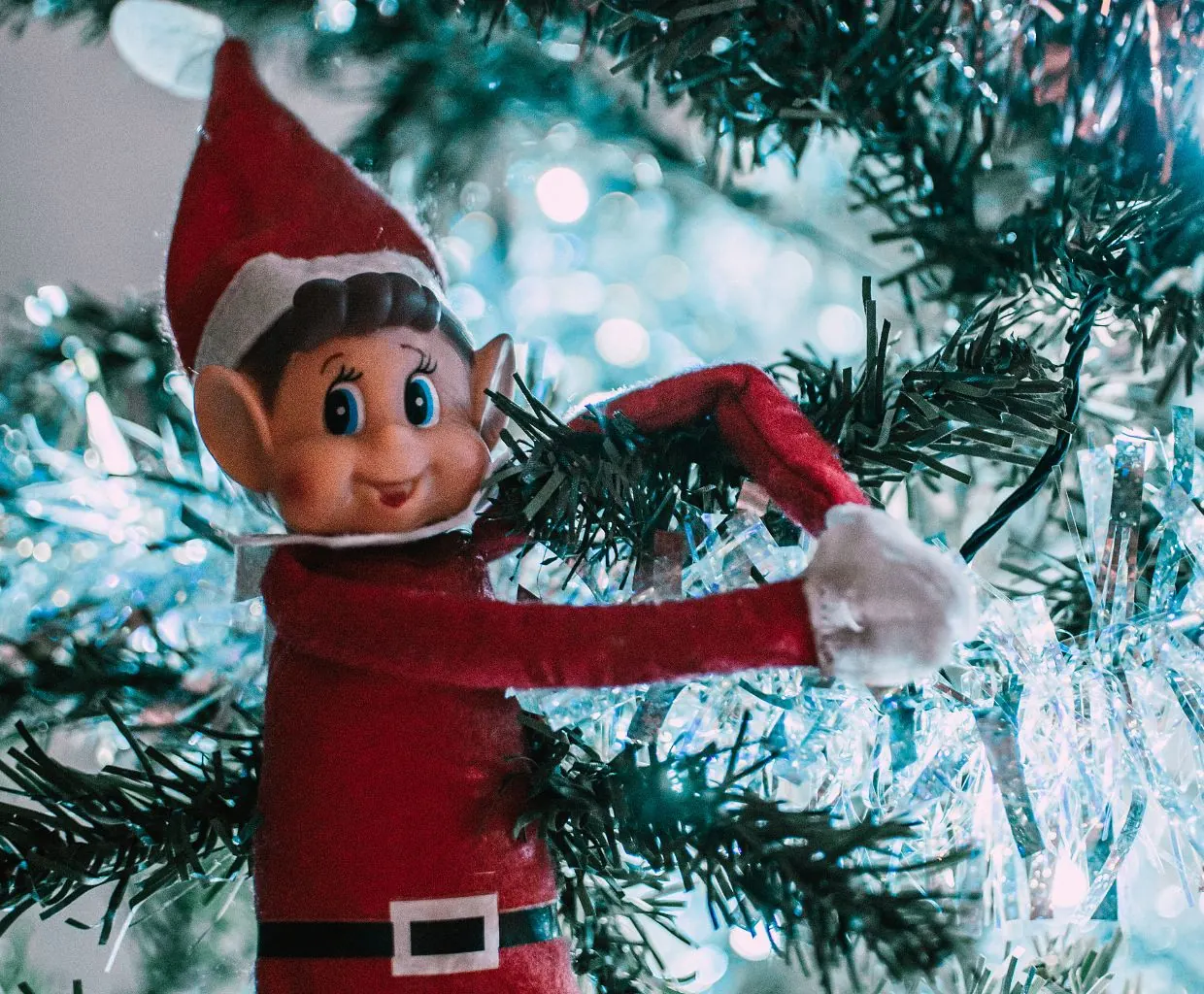 Muñeco de elfo de Navidad con traje rojo y gorro entre las ramas del árbol