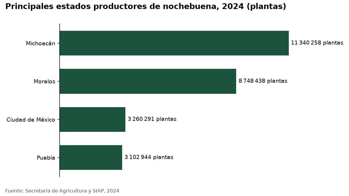 Gráfico: Principales estados productores de nochebuena, 2024 (plantas)