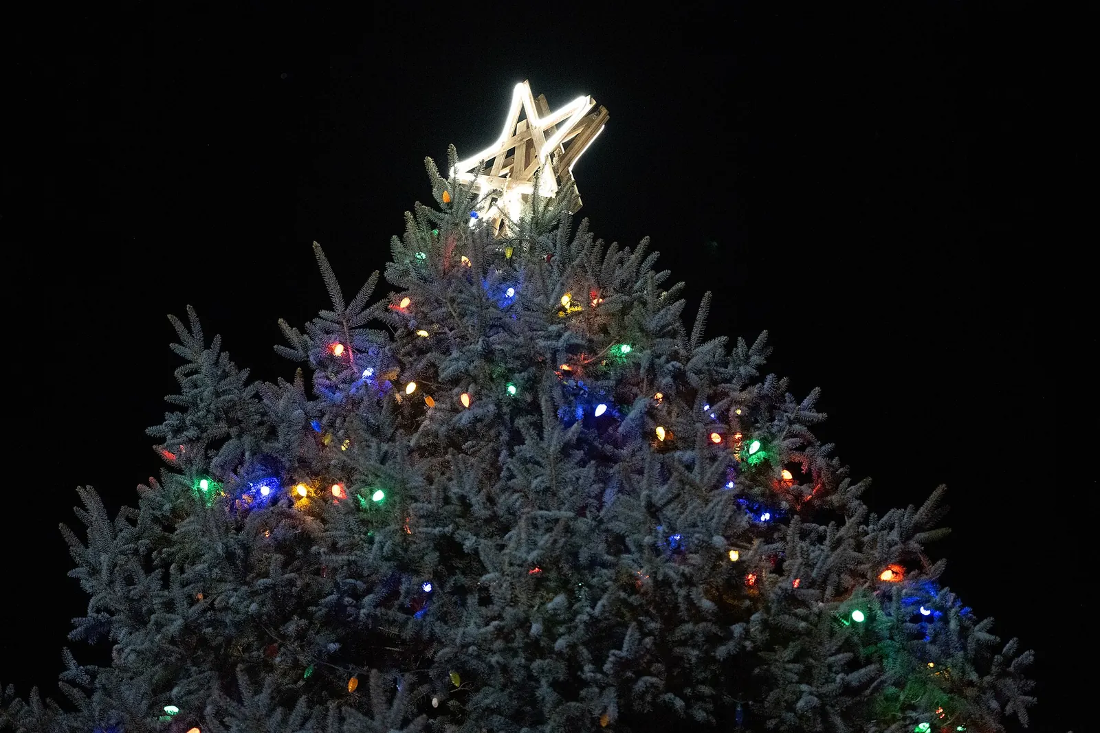 Estrella luminosa en la punta de un abeto de Navidad con luces de colores, de noche
