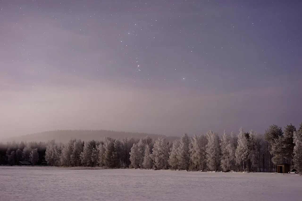 Bosque de árboles cubiertos de escarcha junto a un campo nevado bajo un cielo estrellado en Laponia