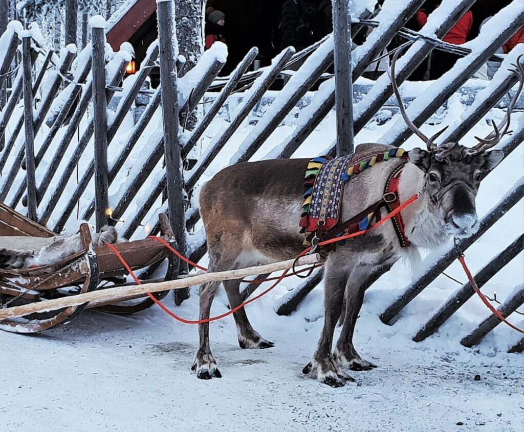 Cómo Preparar 4 Días de Viaje a Laponia Navidad 2022